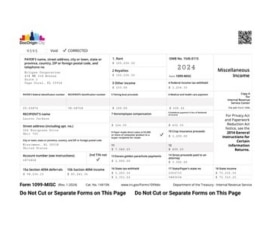 Government 1099 Form thumbnail fullpage