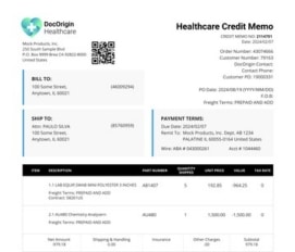 Healthcare Credit Memo thumbnail