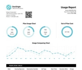 Telecommunications Usage Report thumbnail