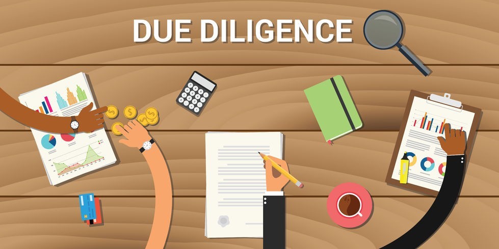 due diligence business graph data analysis vector graphic